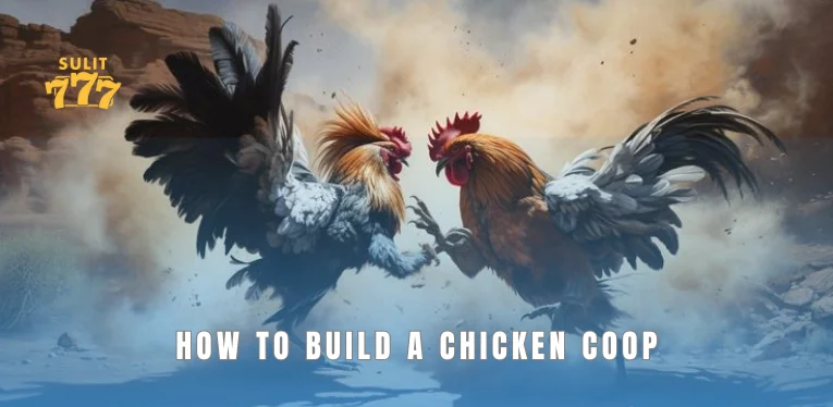 How to build a chicken coop