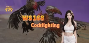 WS168 Cockfighting Hall