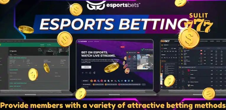 Provide members with a variety of attractive betting methods