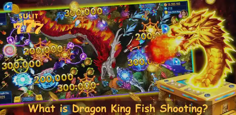 What is Dragon King Fish Shooting?