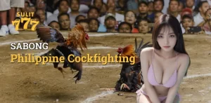 Philippine Cockfighting